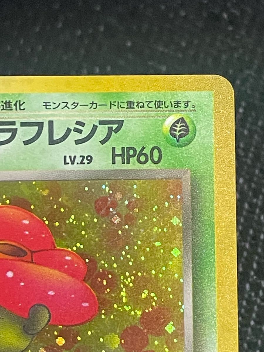 pokemoncard 旧裏 旧裏面 わるいラフレシア 枠ズレ大 渦巻きレア pokemoncard 旧裏 旧裏面 わるいラフレシア 枠ズレ大 渦巻きレア