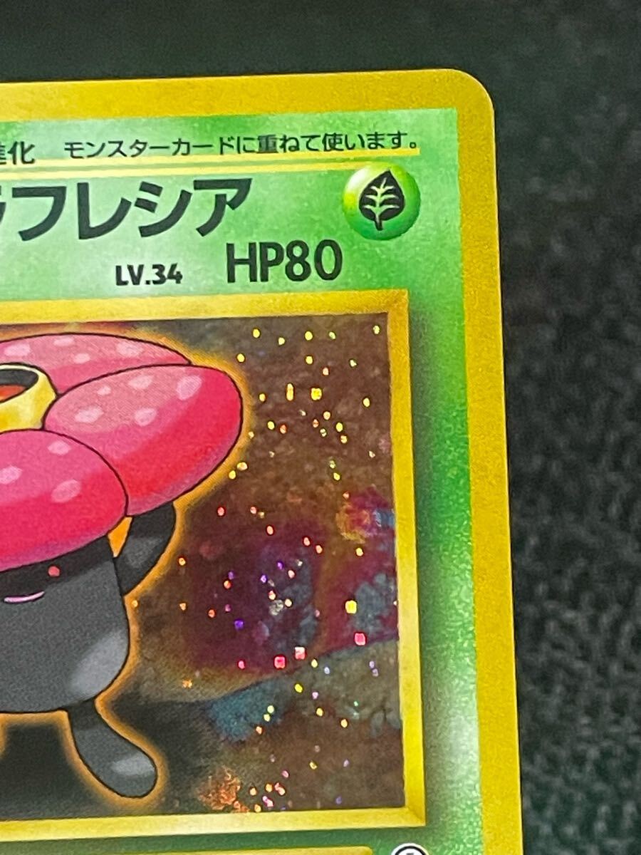 pokemoncard 旧裏面 旧裏 エリカのラフレシア キラカード 渦巻き pokemoncard 旧裏面 旧裏 エリカのラフレシア キラカード 渦巻き