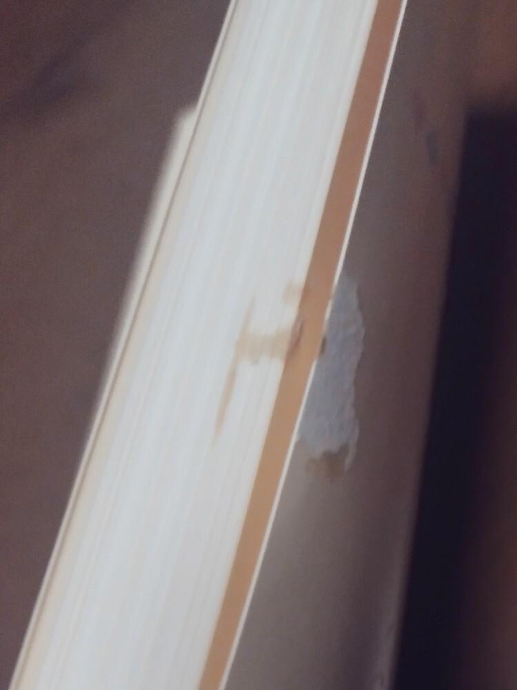 ツムラ醫(yī)療用漢方制剤?看護(hù)師のための漢方薬がわかる本　2冊セットUSED