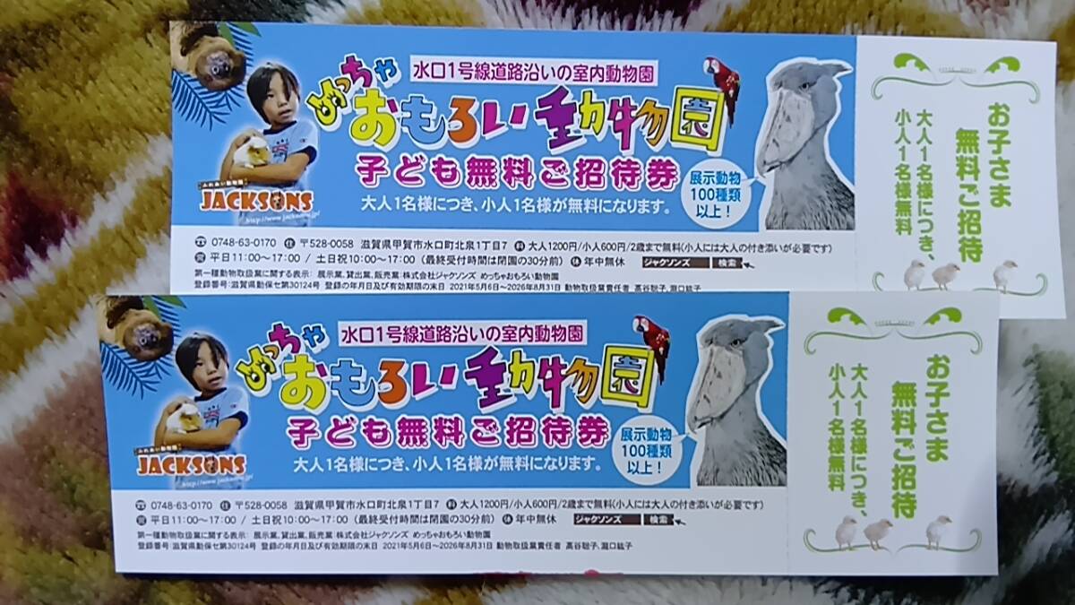 ▼00 招待券 滋贺県 めっちゃおもろい动物园 お子さま无料ご招待　2枚