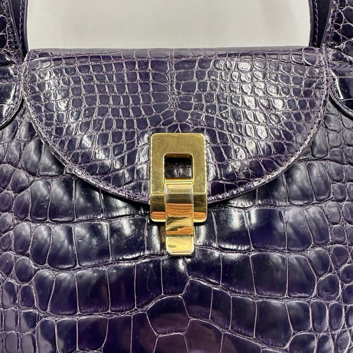 希少カラー!!! 定価70万円!!! シャイニングクロコ クロコダイル 希少カラー!!! 定価70万円!!! シャイニングクロコ クロコダイル