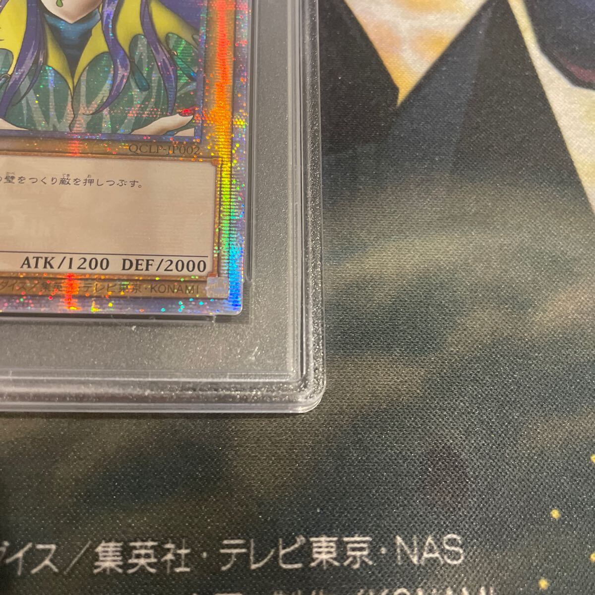 Yahoo!オークション - 遊戯王 アジア版 PSA10 アクア・マドール Yahoo!オークション - 遊戯王 アジア版 PSA10 アクア・マドール
