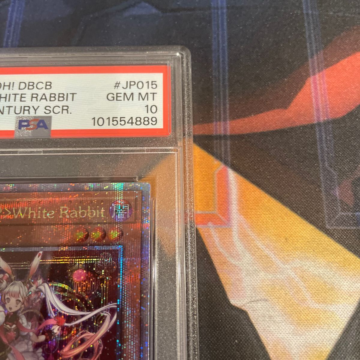 遊戯王 アジア版 PSA10 MALICE WhiteRabbit 25シク(シングル 遊戯王 アジア版 PSA10 MALICE WhiteRabbit 25シク(シングル