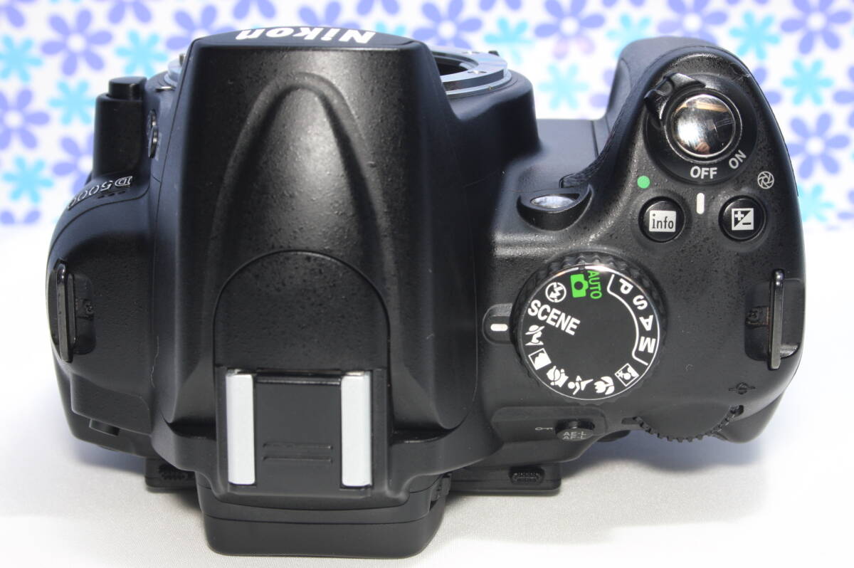 極上美品 Nikon ニコン D5000 高画質 動画撮影 初心者おすすめ 極上美品 Nikon ニコン D5000 高画質 動画撮影 初心者おすすめ
