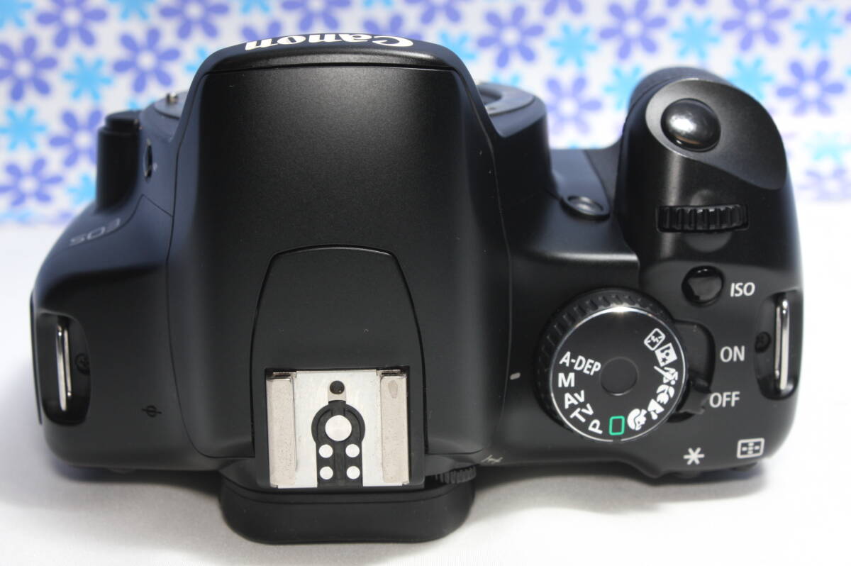 極上美品 Canon キャノン kiss X2 高画質 軽量・コンパクト 極上美品 Canon キャノン kiss X2 高画質 軽量・コンパクト