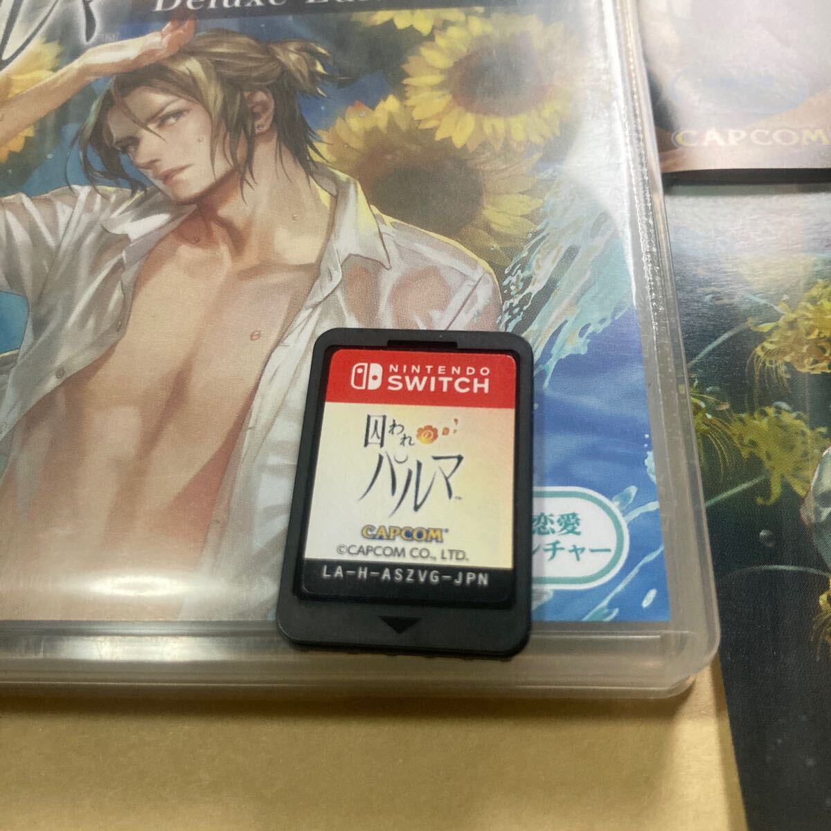 送料無料 SW ニンテンドースイッチ 囚われのパルマ デラックス 送料無料 SW ニンテンドースイッチ 囚われのパルマ デラックス