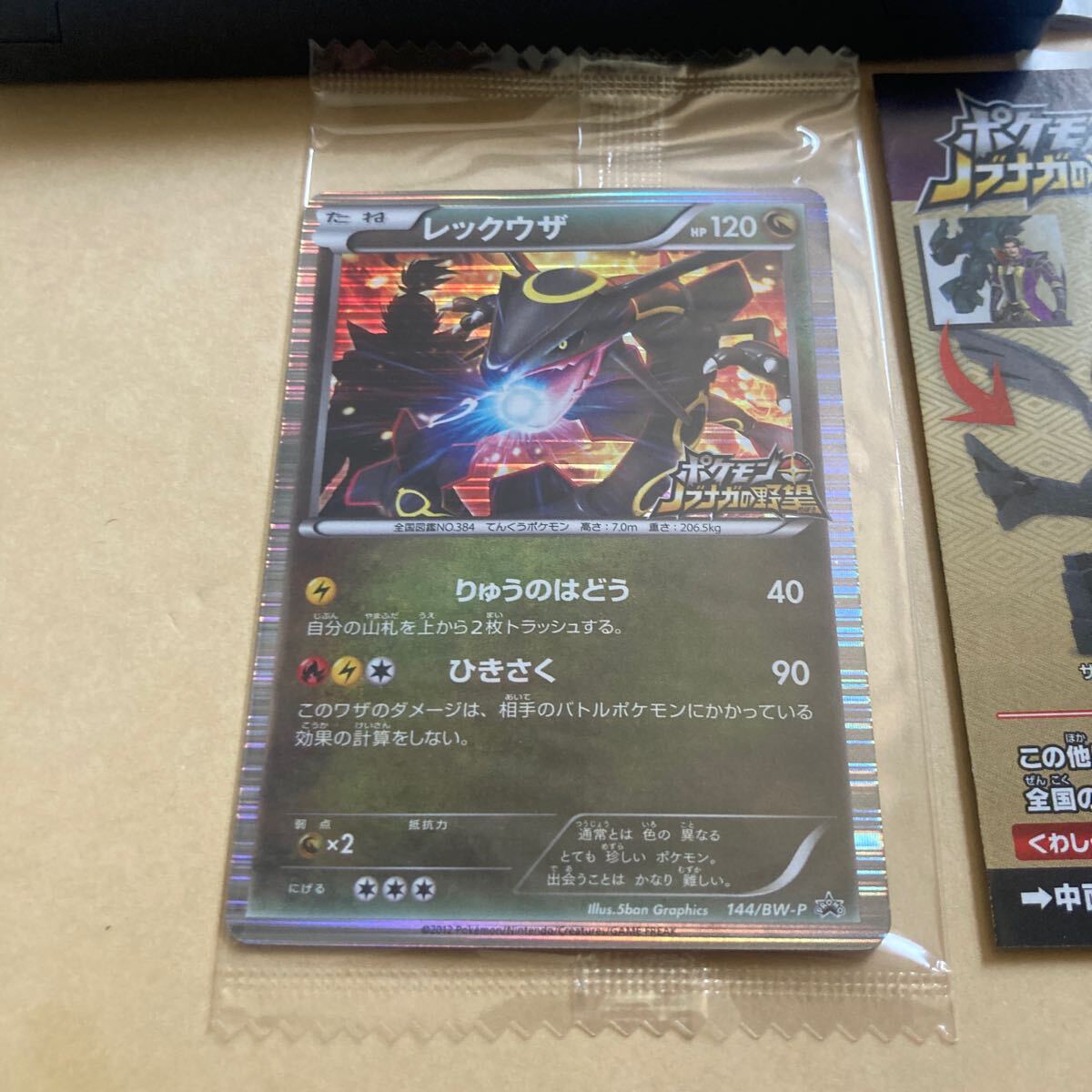 送料無料 DS ニンテンドーDS カード未開封 ポケモン + ノブナガ 送料無料 DS ニンテンドーDS カード未開封 ポケモン + ノブナガ