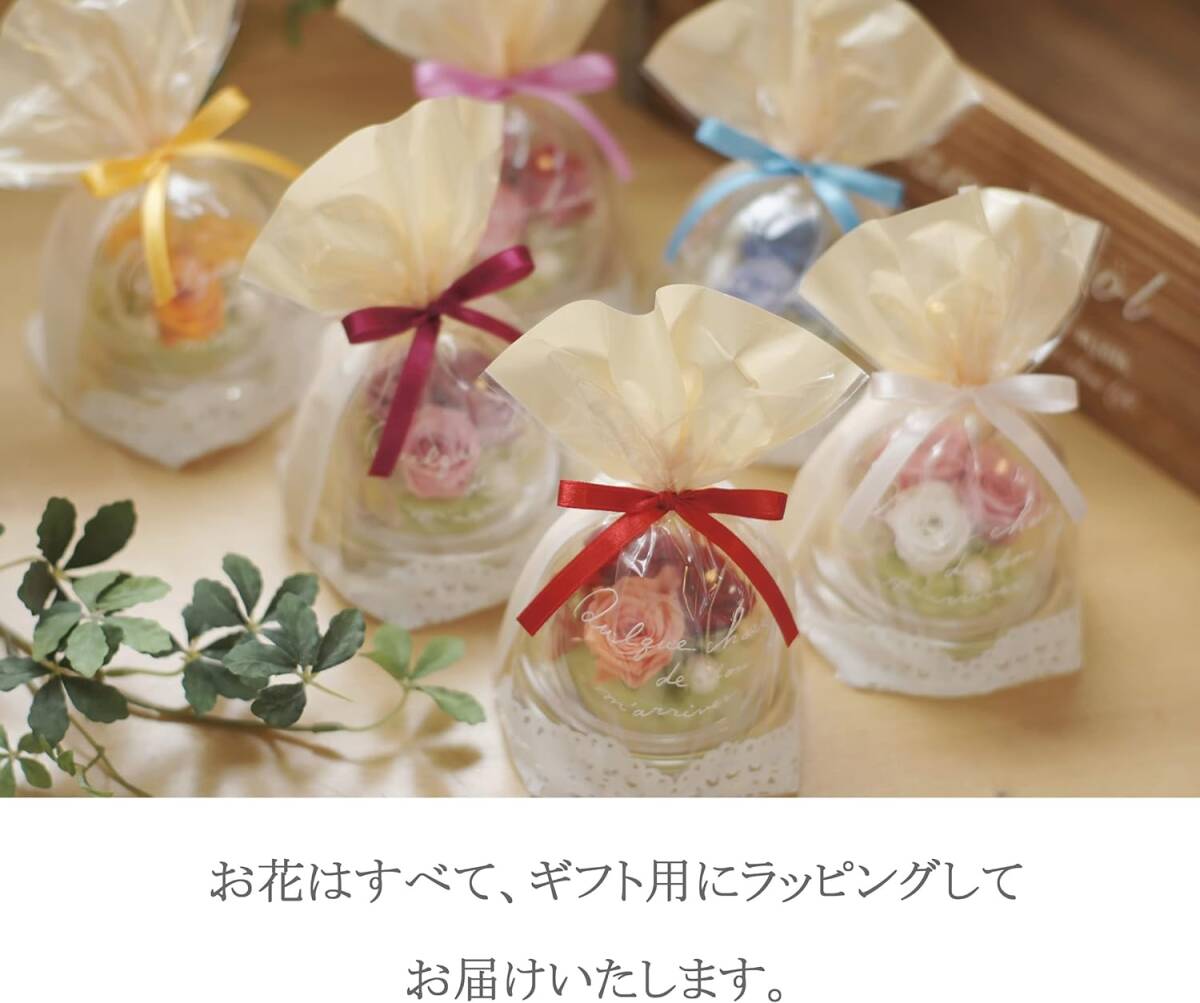 コンパクト プリザーブドフラワー ギフトセット ポエム(ピンク コンパクト プリザーブドフラワー ギフトセット ポエム(ピンク