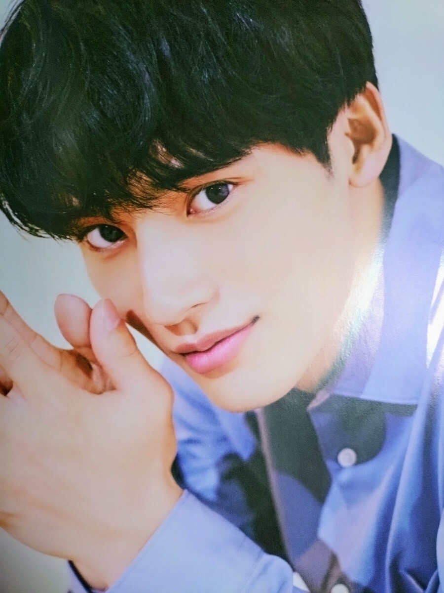 TVガイドdan vol.32 (2020SEPTEMBER） 志尊淳 磯村勇斗 （神木隆之介 福士蒼汰 山田裕貴 岡田健史 赤楚衛二 町田啓太 鈴木仁）