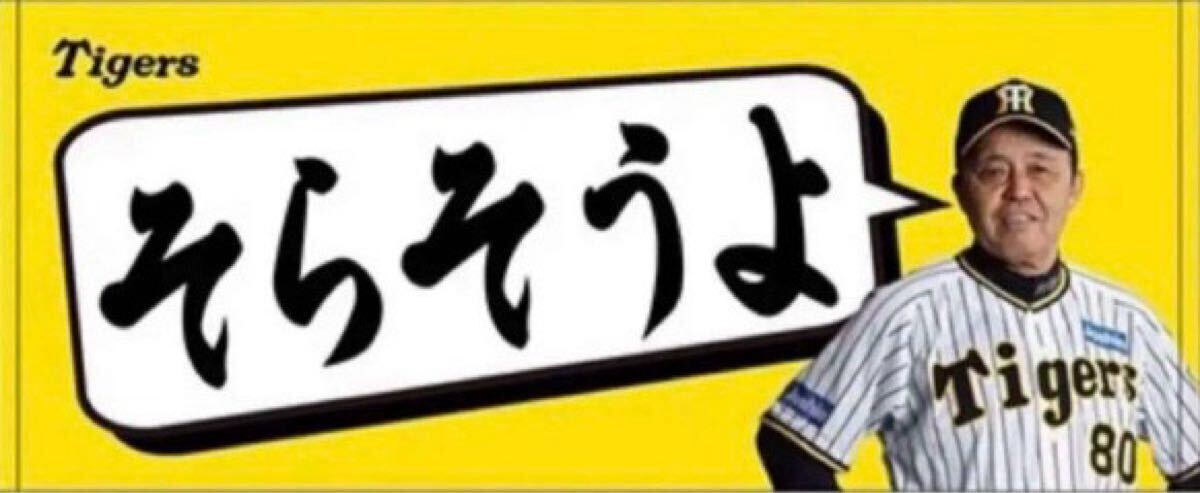 2点セット 阪神タイガース 岡田彰布「そらそうよ」フェイス 2点セット 阪神タイガース 岡田彰布「そらそうよ」フェイス