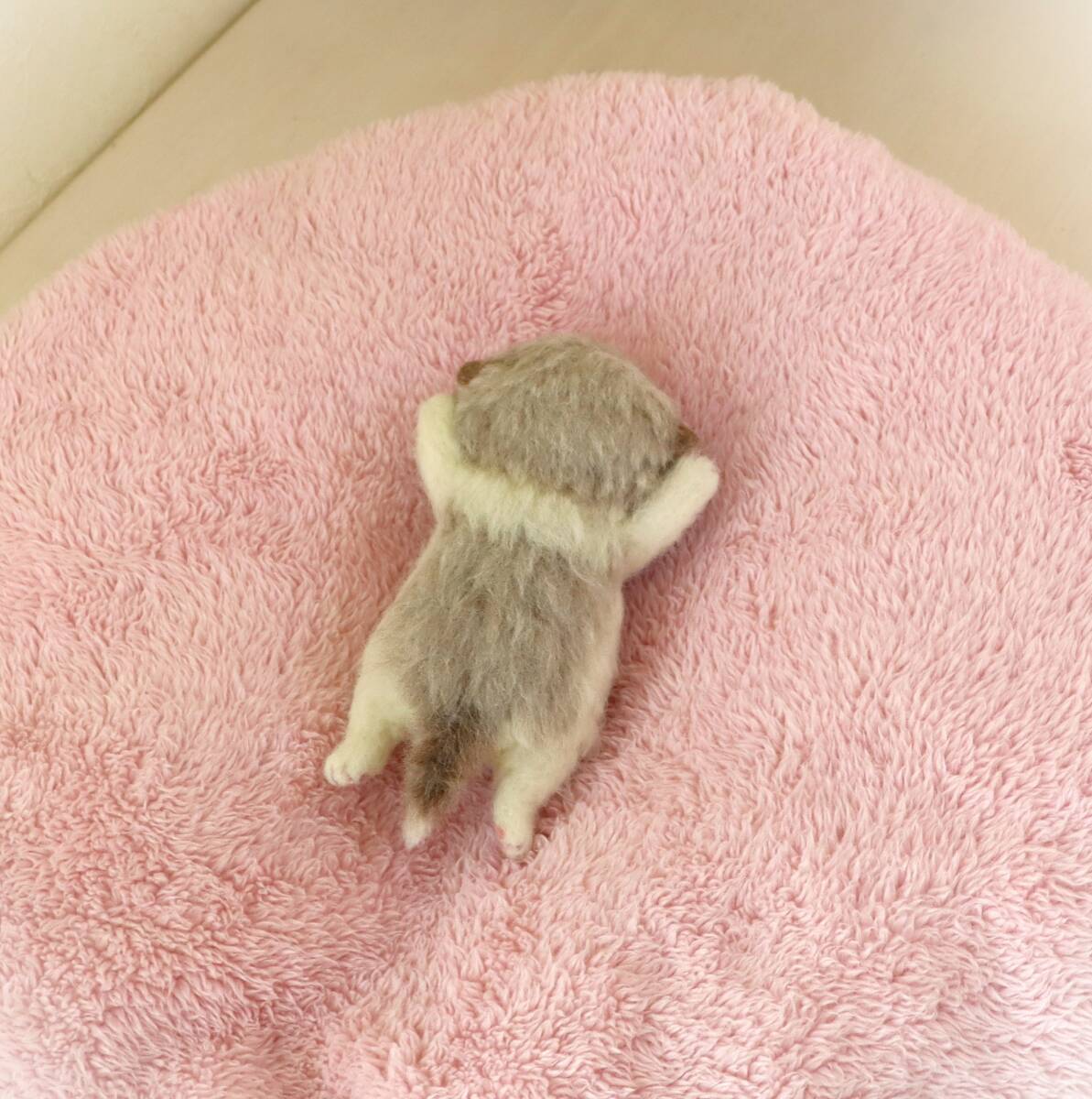 funwari□□□ 羊毛フェルト 赤ちゃん猫 すやすやねんね funwari□□□ 羊毛フェルト 赤ちゃん猫 すやすやねんね