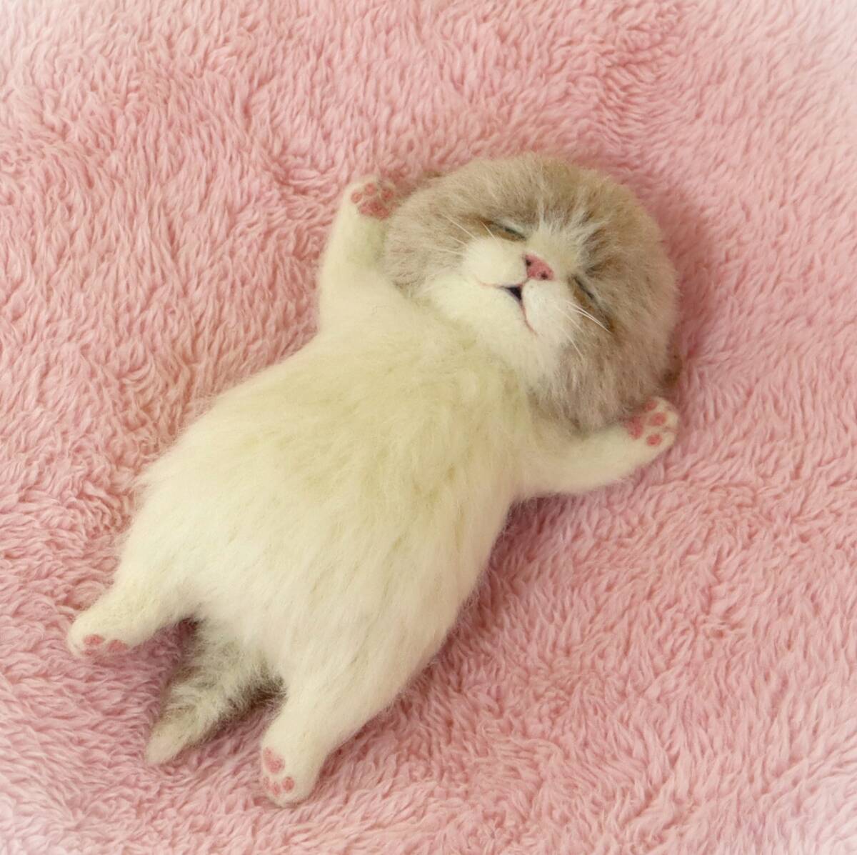 funwari□□□ 羊毛フェルト 赤ちゃん猫 すやすやねんね funwari□□□ 羊毛フェルト 赤ちゃん猫 すやすやねんね