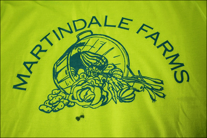 【M】 Rivers' End SOLAR SHIELD リバーズ エンド Tシャツ USA制 蛍光 イエロー ビンテージ ヴィンテージ USA 古著 オールド IB1261