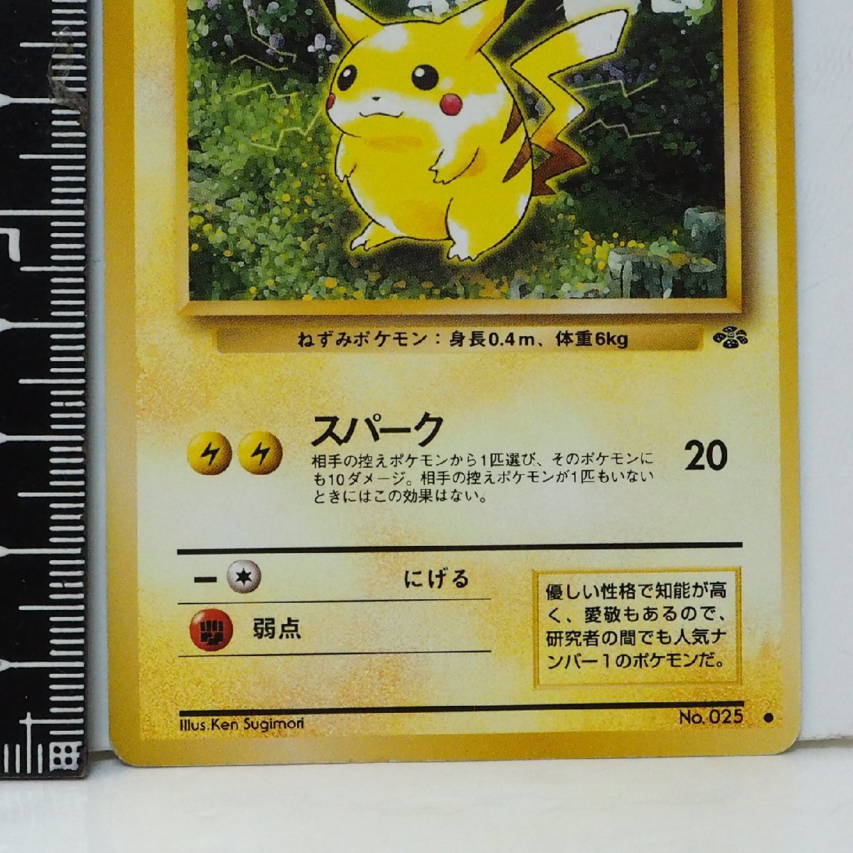 旧裏ポケモン カードゲーム拡張パック第2弾ポケモンジャングル