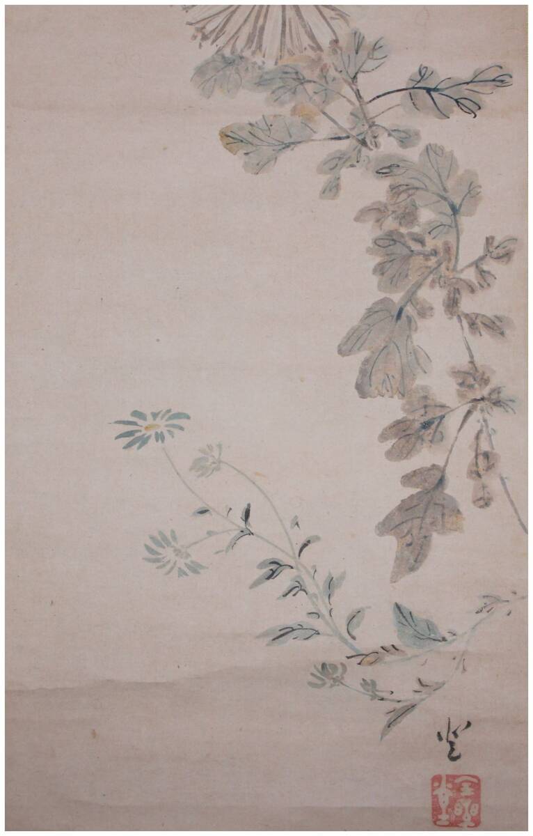 模写」 三河田原藩家老・【渡辺崋山】 説色菊花胡蝶図 掛軸 渡辺 模写」 三河田原藩家老・【渡辺崋山】 説色菊花胡蝶図 掛軸 渡辺