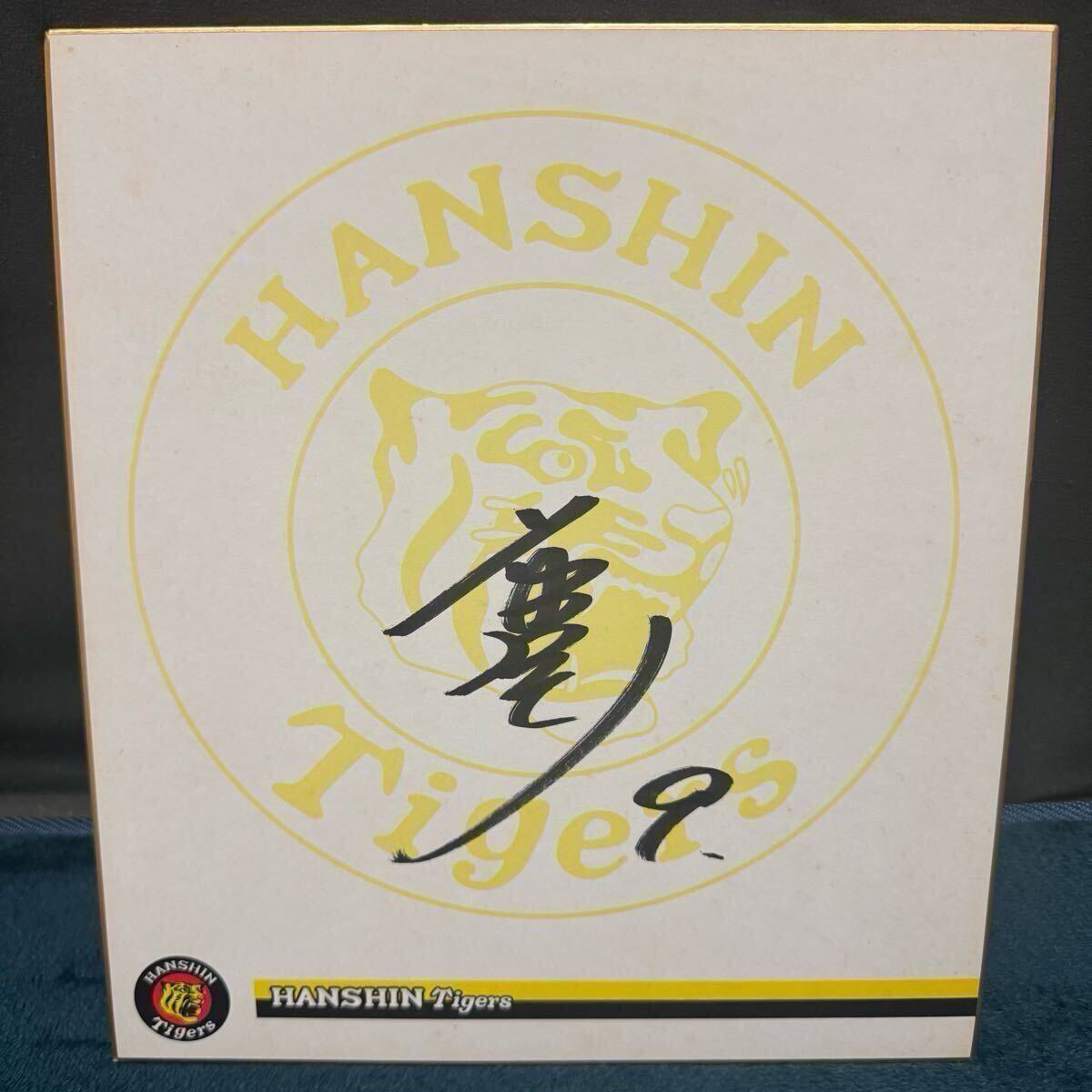 阪神タイガース サイン色紙 6枚セット プロ野球 非売品 直筆 阪神タイガース サイン色紙 6枚セット プロ野球 非売品 直筆