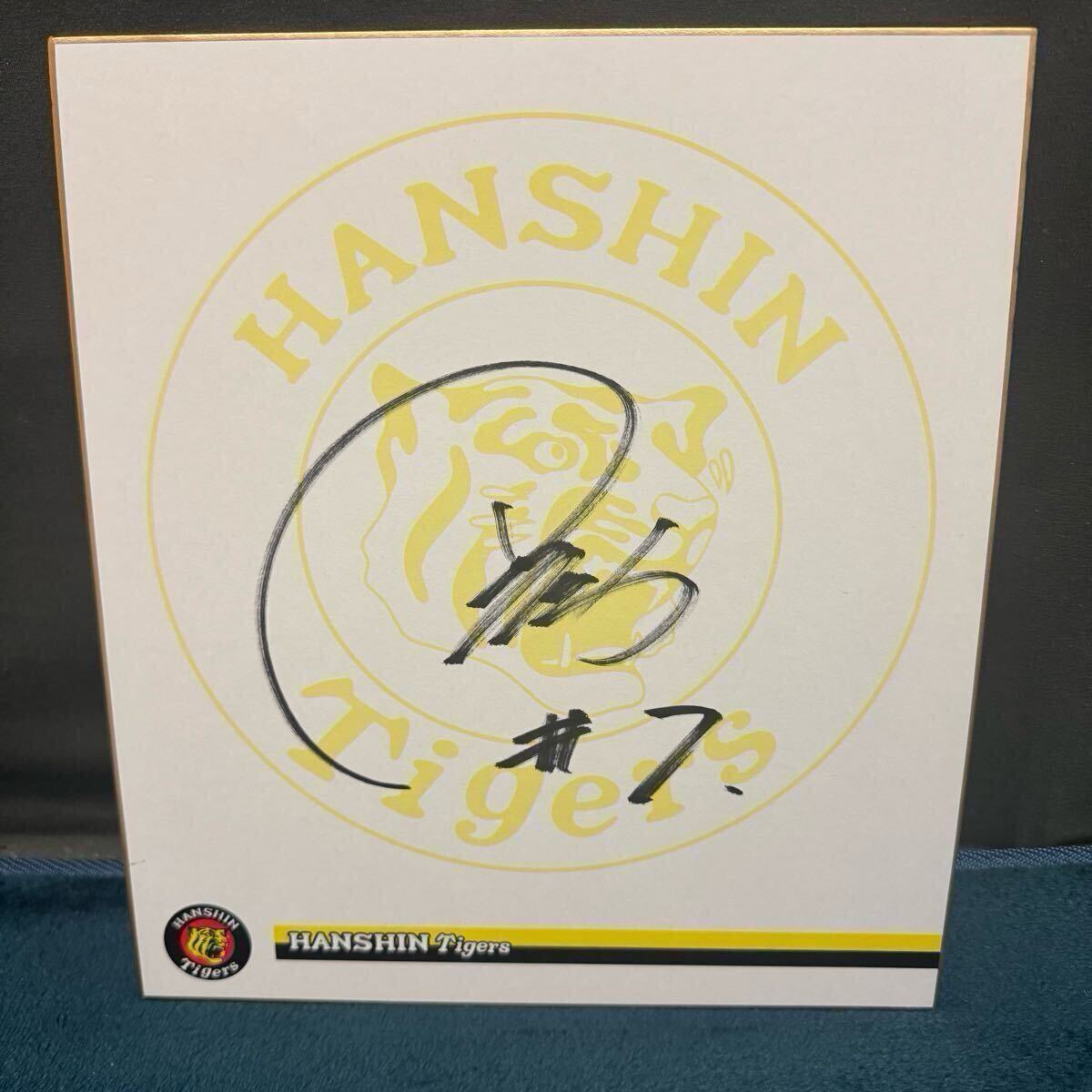 阪神タイガース サイン色紙 6枚セット プロ野球 非売品 直筆 阪神タイガース サイン色紙 6枚セット プロ野球 非売品 直筆
