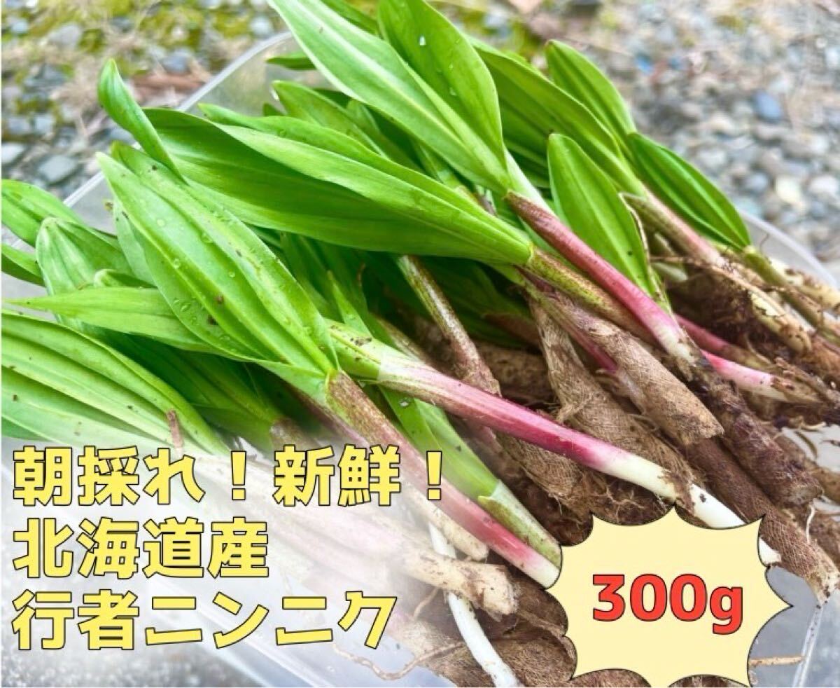 ②北海道産 天然物 行者にんにく 300g|Yahoo!フリマ(旧PayPay ②北海道産 天然物 行者にんにく 300g|Yahoo!フリマ(旧PayPay