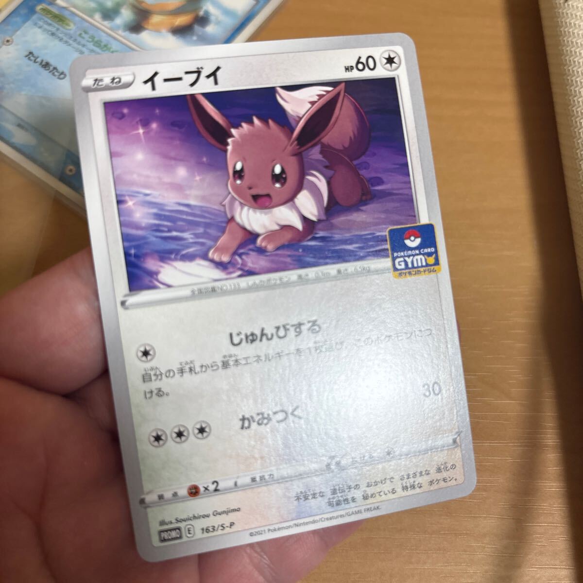 ポケモンカード 2005年 2006年 ピカチュウ ゼニガメ ポケモンカード 2005年 2006年 ピカチュウ ゼニガメ