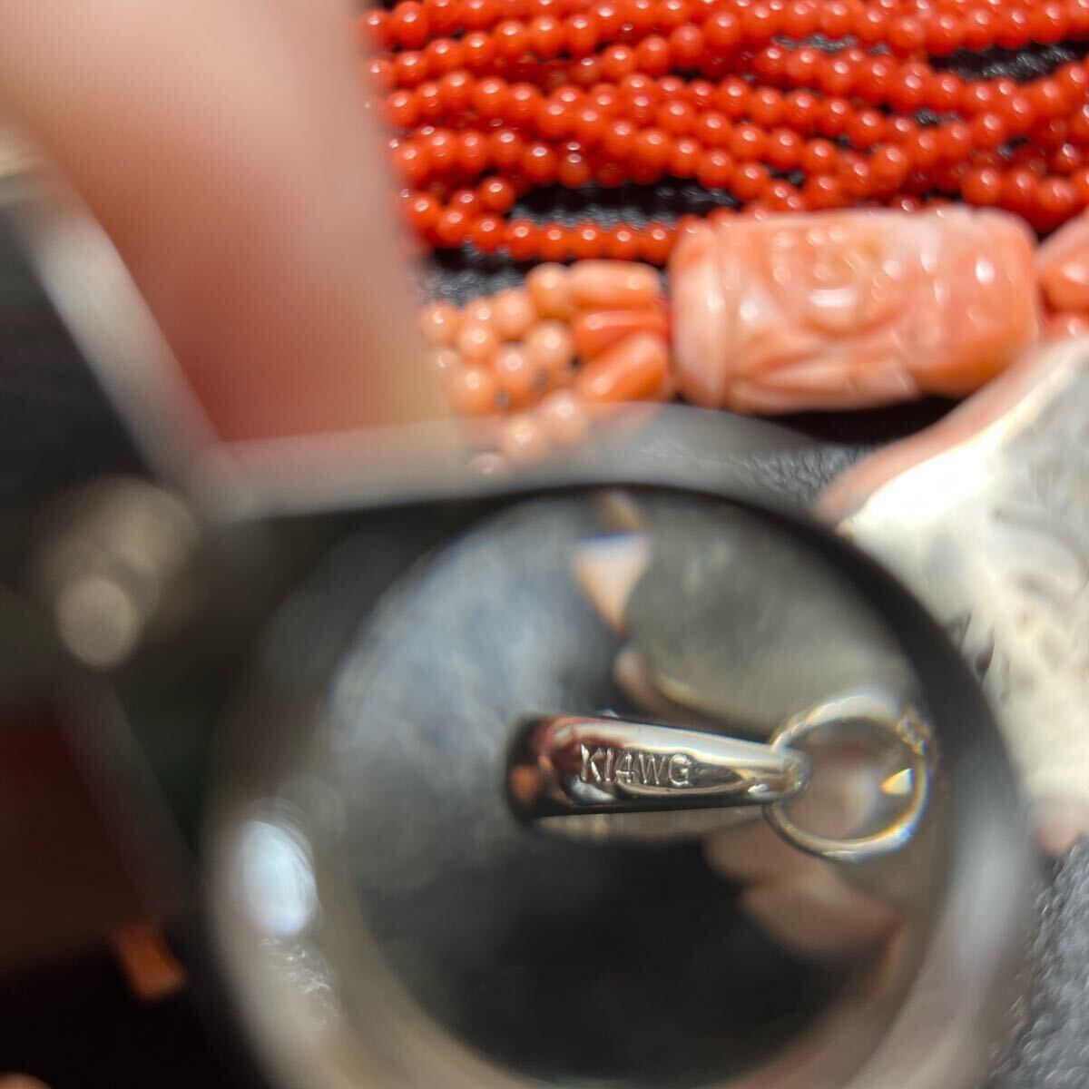 珊瑚 アクセサリー サンゴ ネックレス ペンダント 赤珊瑚 K14WG 珊瑚 アクセサリー サンゴ ネックレス ペンダント 赤珊瑚 K14WG