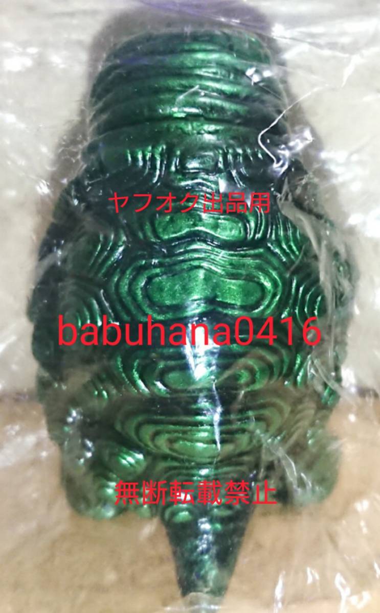 甲羅部分の畫(huà)像