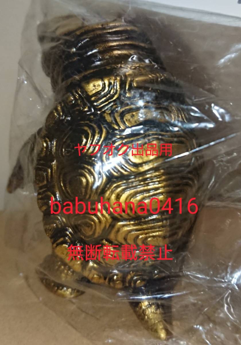 甲羅部分の畫像
