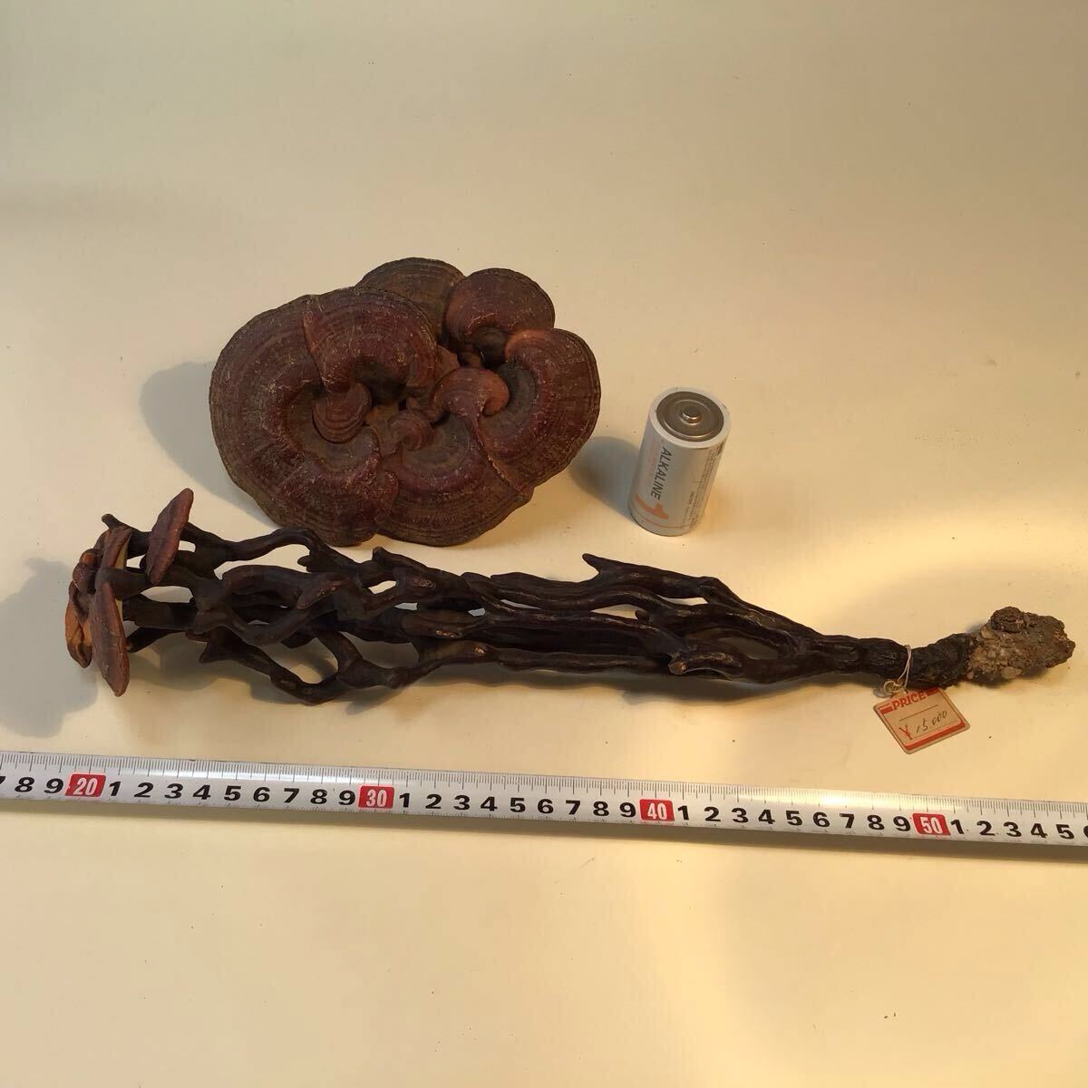 初出 時代仏教美術霊芝如意木彫2点 天然霊芝製如意、煎茶飾り2点 初出 時代仏教美術霊芝如意木彫2点 天然霊芝製如意、煎茶飾り2点