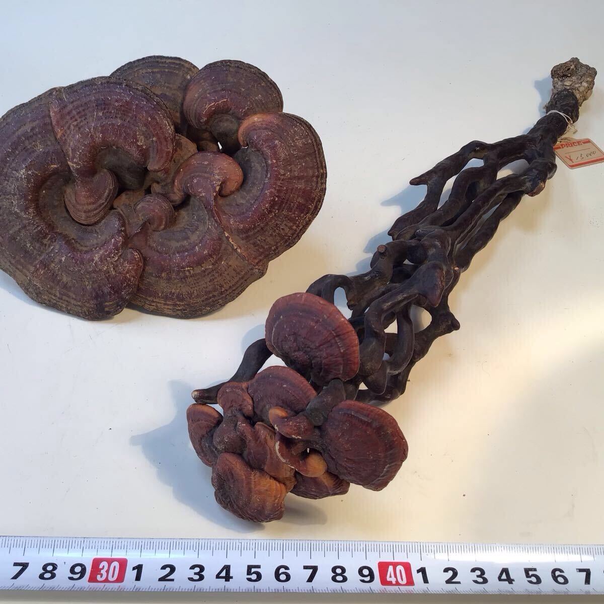 初出 時代仏教美術霊芝如意木彫2点 天然霊芝製如意、煎茶飾り2点 初出 時代仏教美術霊芝如意木彫2点 天然霊芝製如意、煎茶飾り2点