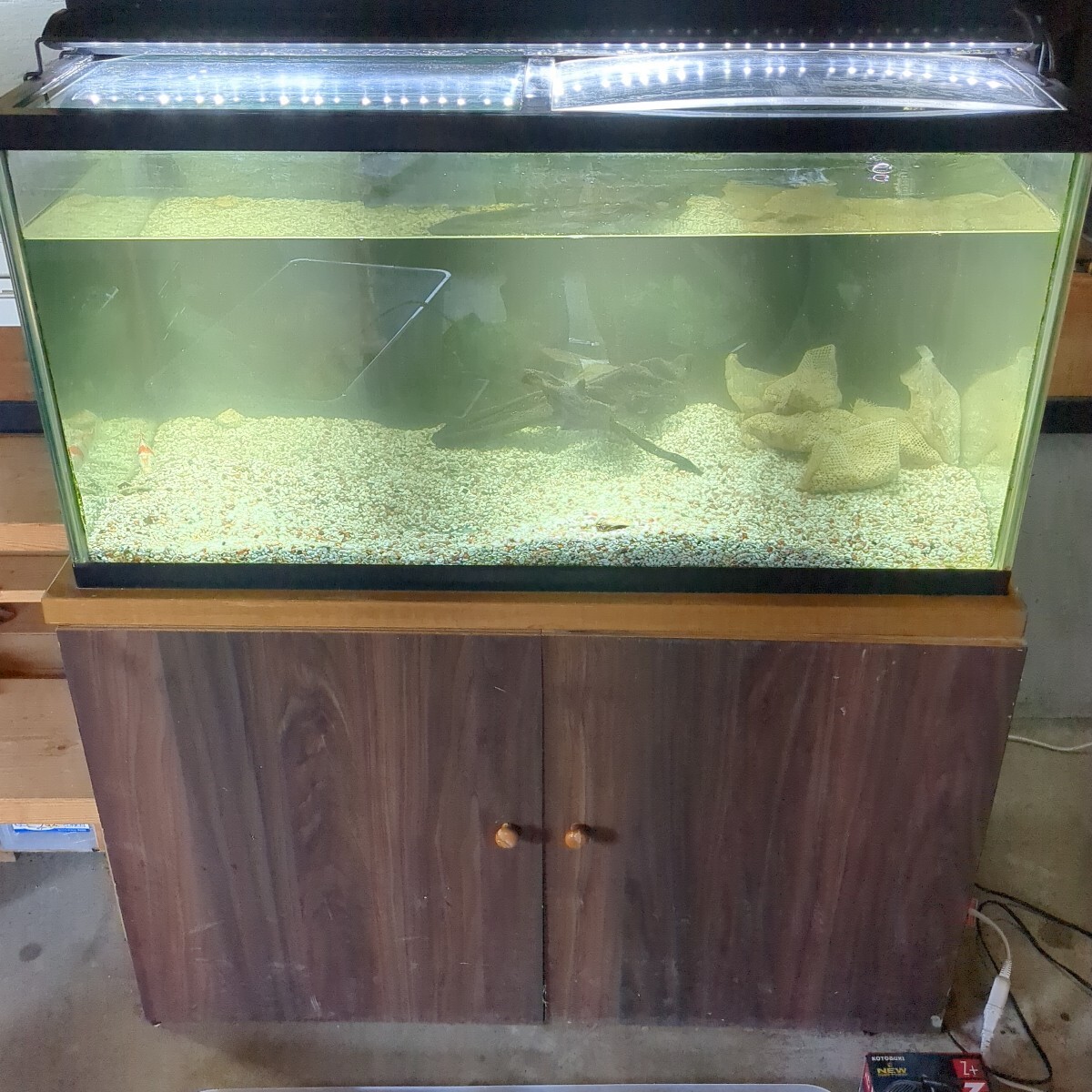新潟中越地区引取希望 90センチ水槽セット (90cm~)|売買された 新潟中越地区引取希望 90センチ水槽セット (90cm~)|売買された