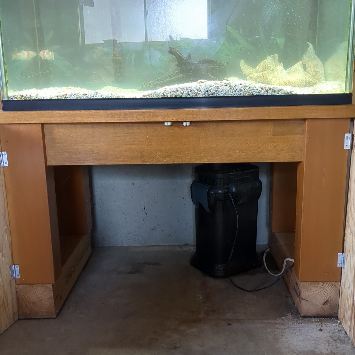 新潟中越地区引取希望 90センチ水槽セット (90cm~)|売買された 新潟中越地区引取希望 90センチ水槽セット (90cm~)|売買された