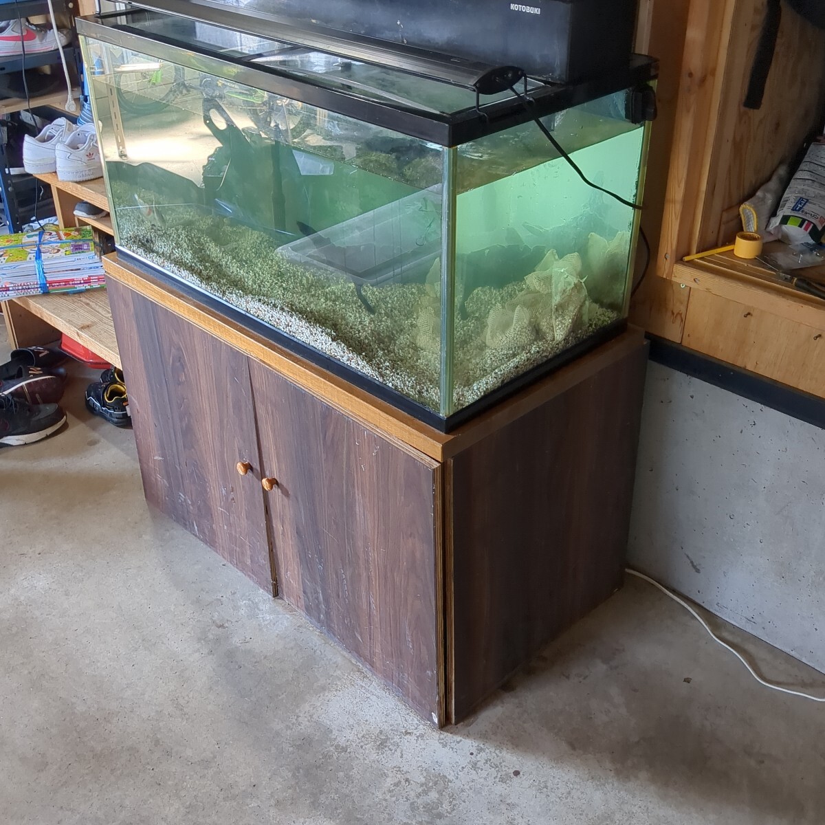 新潟中越地区引取希望 90センチ水槽セット (90cm~)|売買された 新潟中越地区引取希望 90センチ水槽セット (90cm~)|売買された