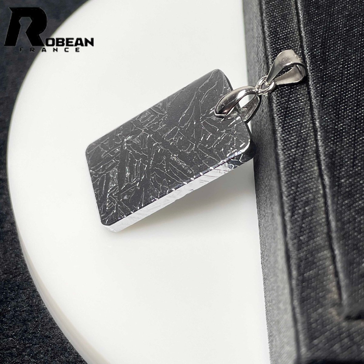 絶賛EU製 定価9万円☆ROBEAN・シルバーギベオン隕石ペンダント