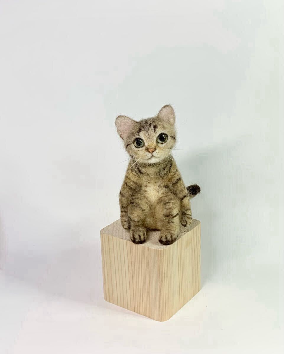 もたこ 羊毛フェルト猫 スコティッシュフォールド 白猫 子猫