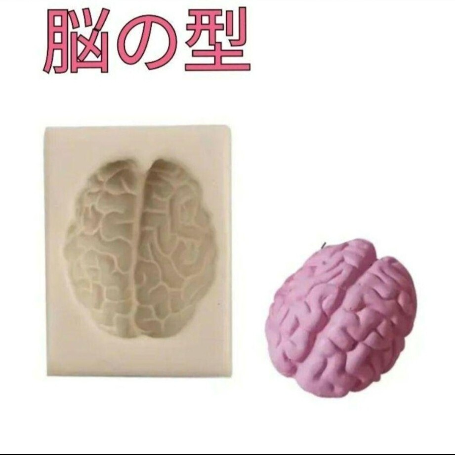 脳 型 レジン 粘土 石膏 シリコン モールド 脳みそ 人體 ミニチュア ハンドメイド 手作り 