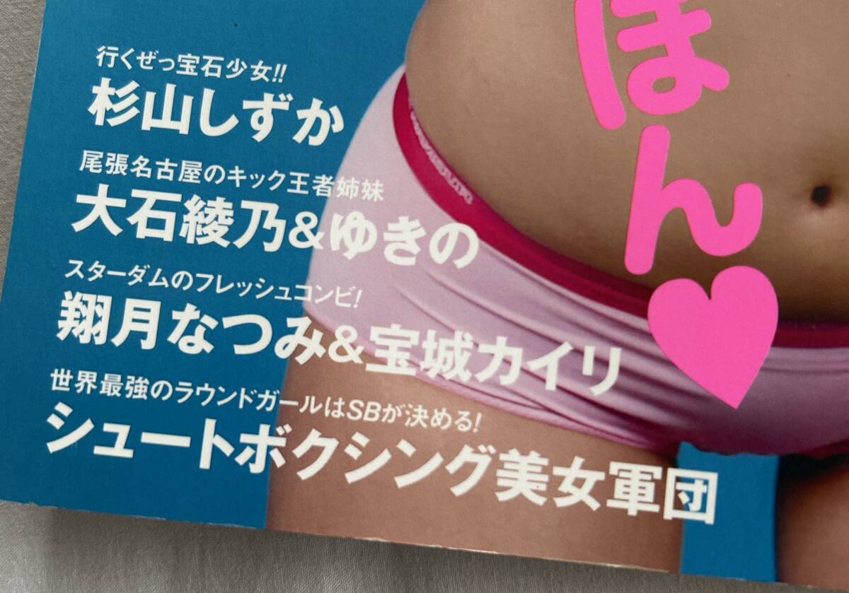 ドロップキック ダイナマイト(付録DVD未開封)女子プロレス ドロップキック ダイナマイト(付録DVD未開封)女子プロレス