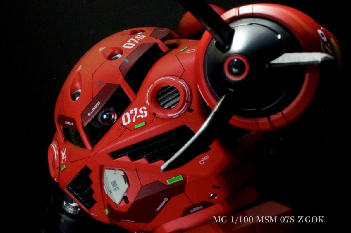 MG1/100 MSM-07S Z'GOK 「ズゴック」 塗装済み完成品 ガンプラ MG1/100 MSM-07S Z'GOK 「ズゴック」 塗装済み完成品 ガンプラ