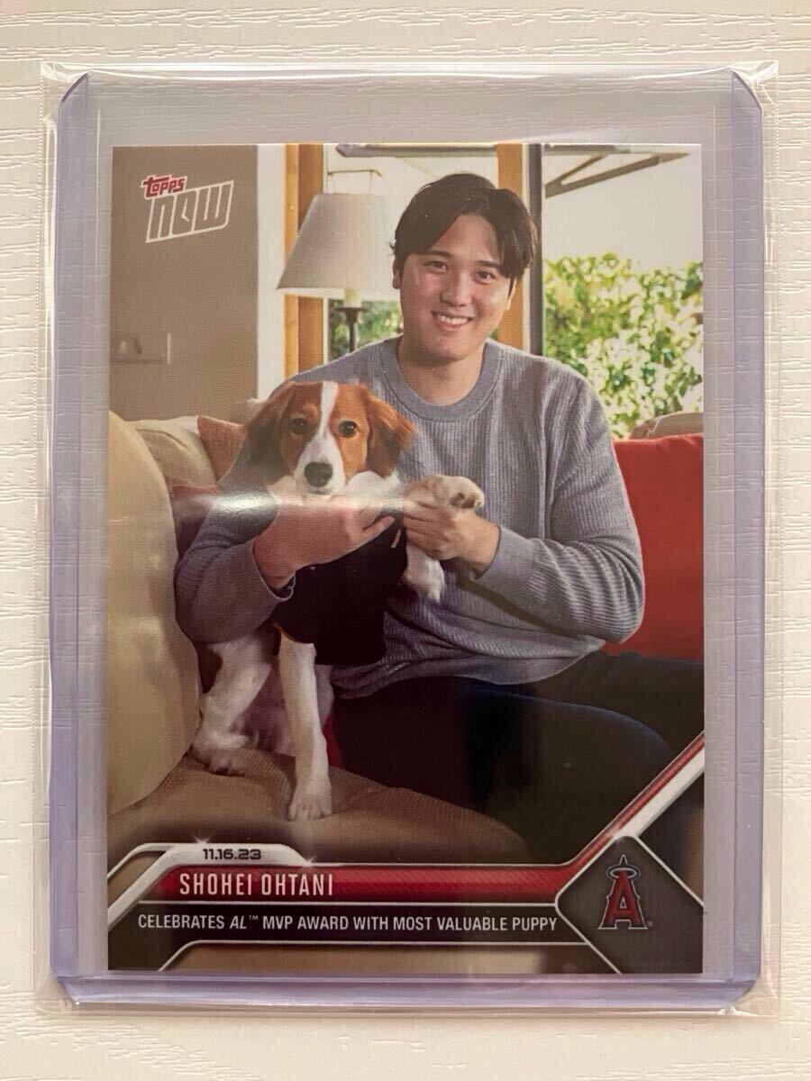 2023 MLB Topps Now 大谷翔平 アメリカンリーグMVP受賞 デコピン 2023 MLB Topps Now 大谷翔平 アメリカンリーグMVP受賞 デコピン