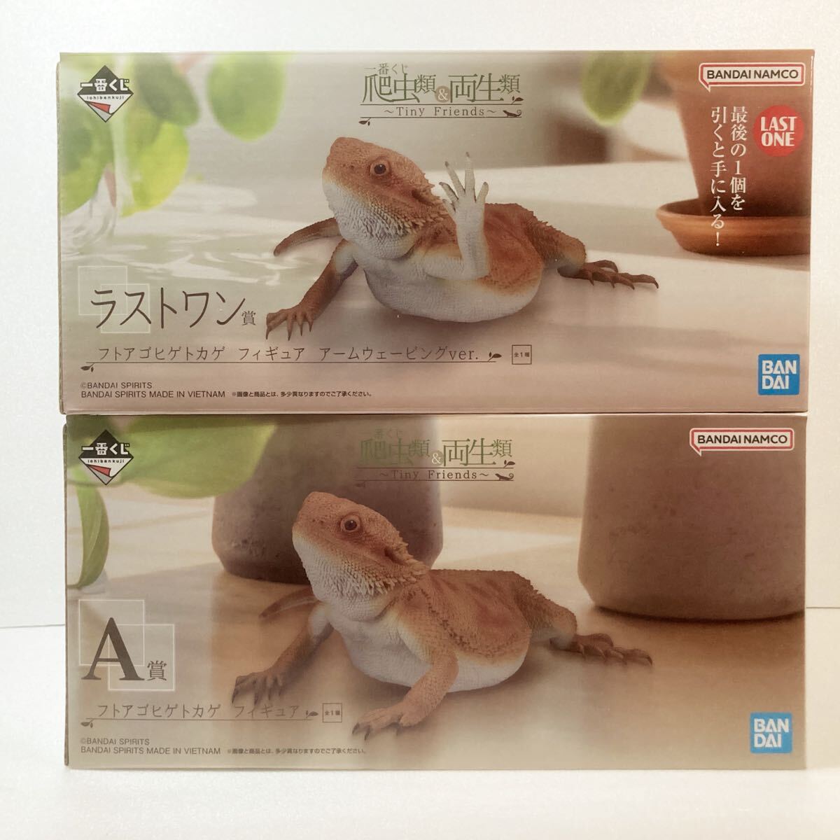 爬虫類一番くじ A賞 B賞 ラストワン賞 他複数|Yahoo!フリマ 爬虫類一番くじ A賞 B賞 ラストワン賞 他複数|Yahoo!フリマ