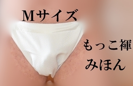 格安提供品　ふんどし　もっこ裈 　モッコ　Mサイズ?前幅26～28　５枚組　絹?シルク 　いろいろな種類の絹　翌日配送