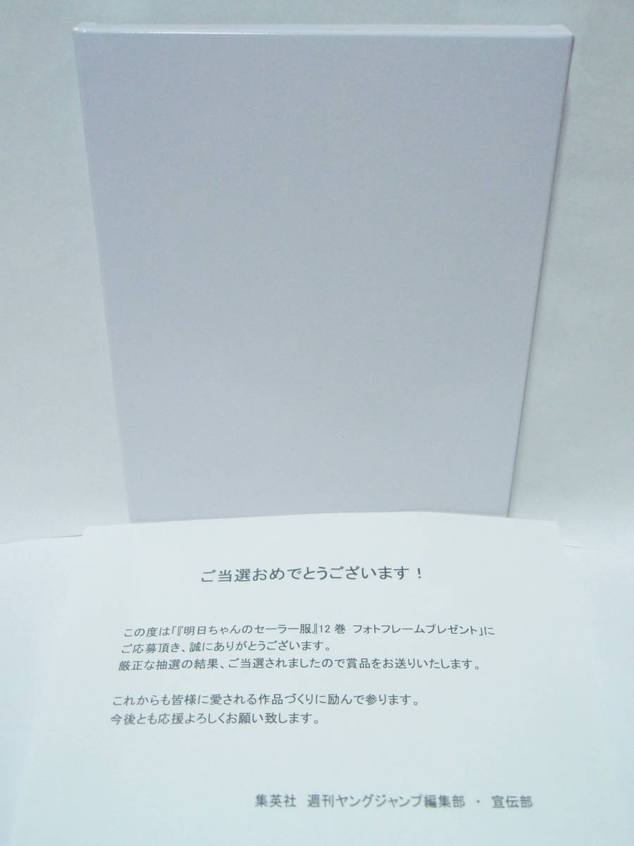 抽選プレゼント 当選通知書付 非売品 新品未開封 イラスト写真 抽選プレゼント 当選通知書付 非売品 新品未開封 イラスト写真