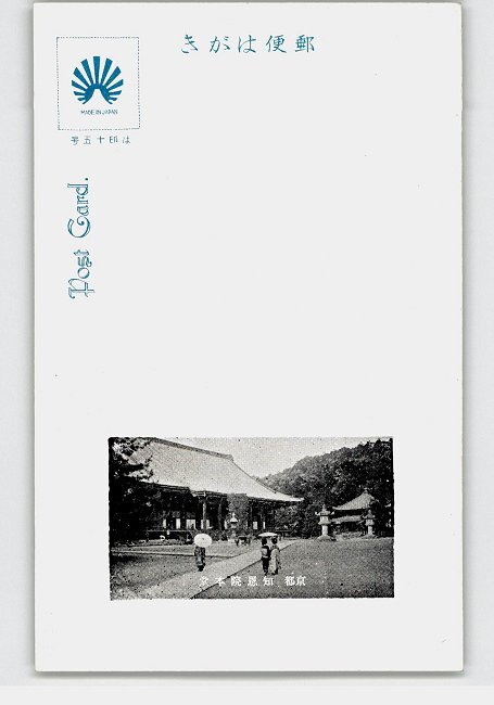 XZK4837○暑中見舞いアート絵葉書 ミノカサゴ 魚 *傷み有り