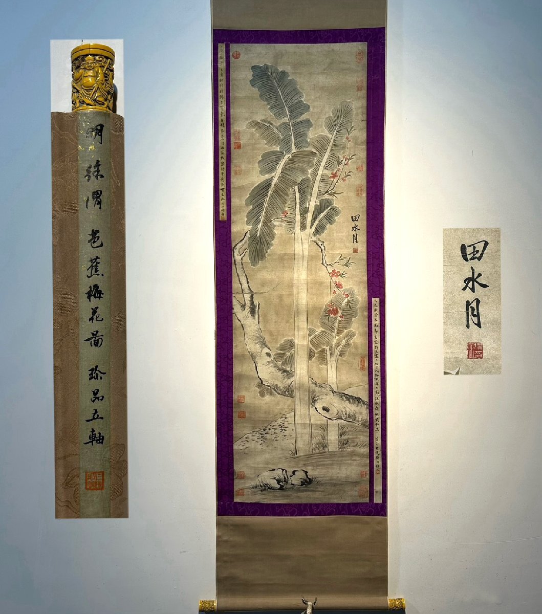 安】中国明時代画家「徐渭書」紙本「芭蕉梅花図」掛軸 中国画 安】中国明時代画家「徐渭書」紙本「芭蕉梅花図」掛軸 中国画