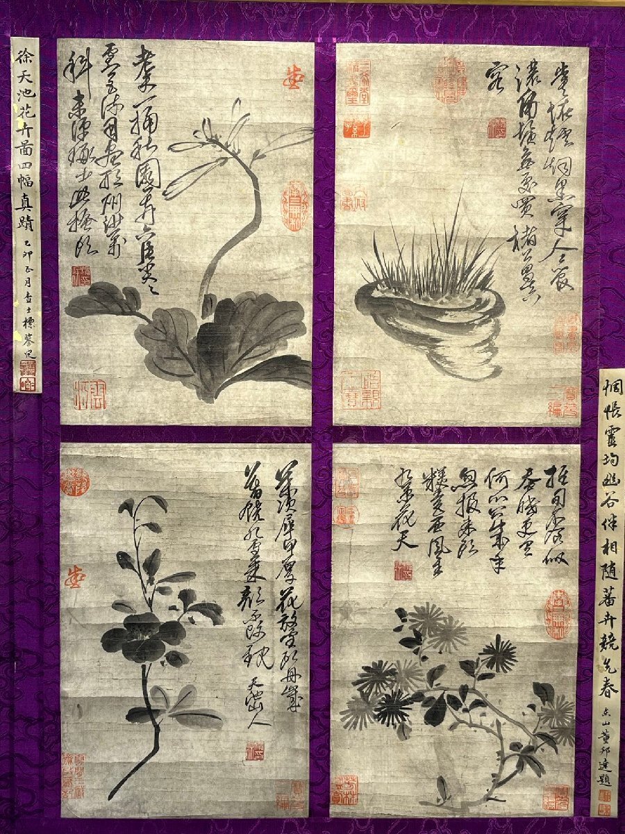 安】中国明時代画家「徐渭書」紙本「花卉四幅図」掛軸 中国画 安】中国明時代画家「徐渭書」紙本「花卉四幅図」掛軸 中国画