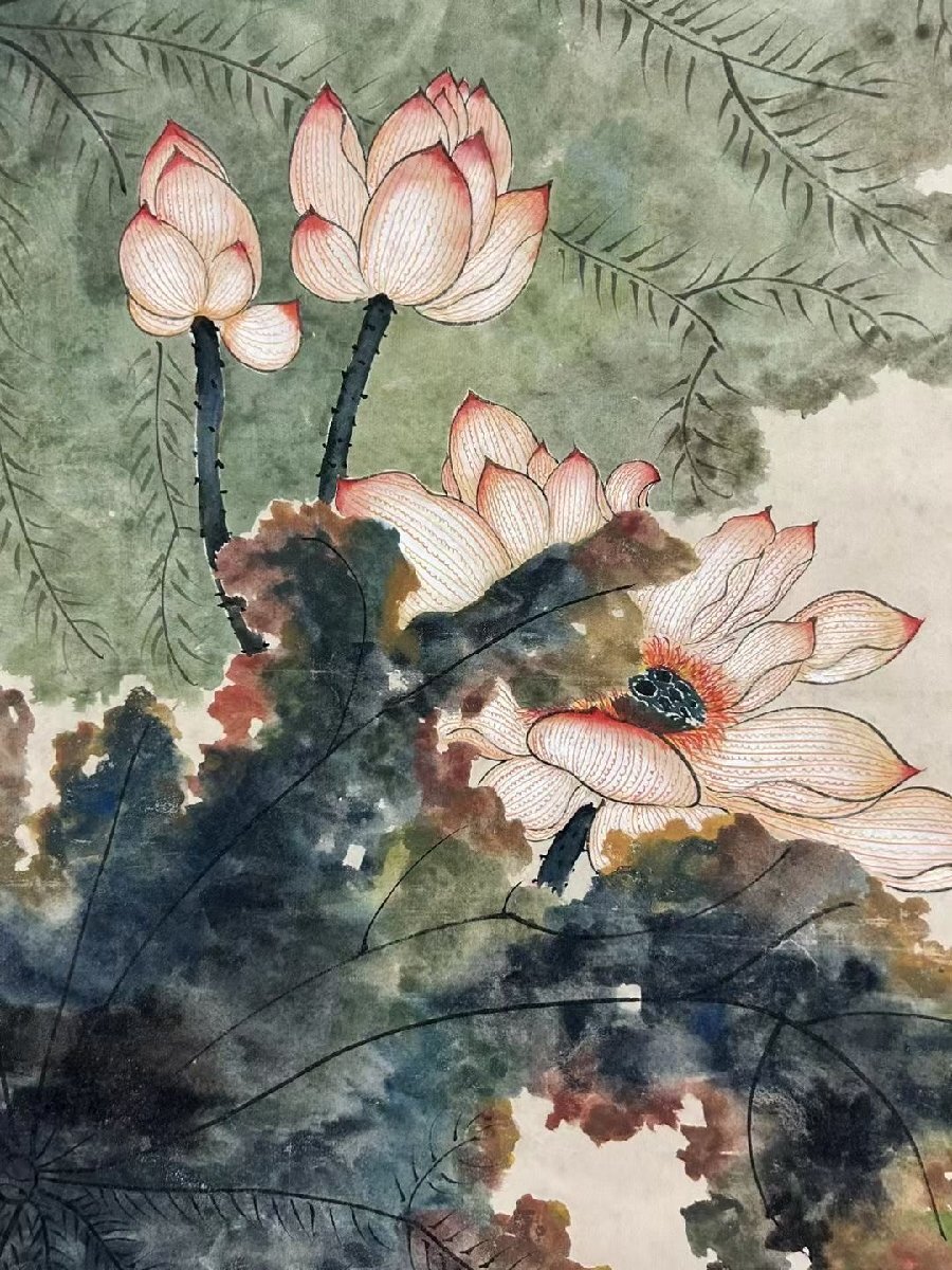 安】中国近時代画家「江寒汀書」紙本「荷塘清趣図」掛軸 中国画 安】中国近時代画家「江寒汀書」紙本「荷塘清趣図」掛軸 中国画