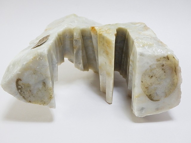 ☆ 希少 鑑賞石 天然記念物 龍泉洞 鍾乳石 観賞石 約460g ☆H253 ☆ 希少 鑑賞石 天然記念物 龍泉洞 鍾乳石 観賞石 約460g ☆H253