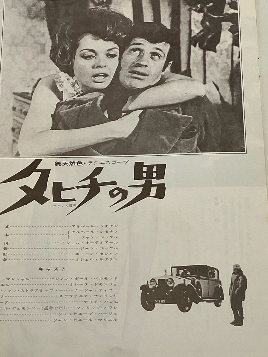 豪華ラッピング無料 昭和映画ドラマ邦画洋画プレスシートパンフレット タヒチの男 その他