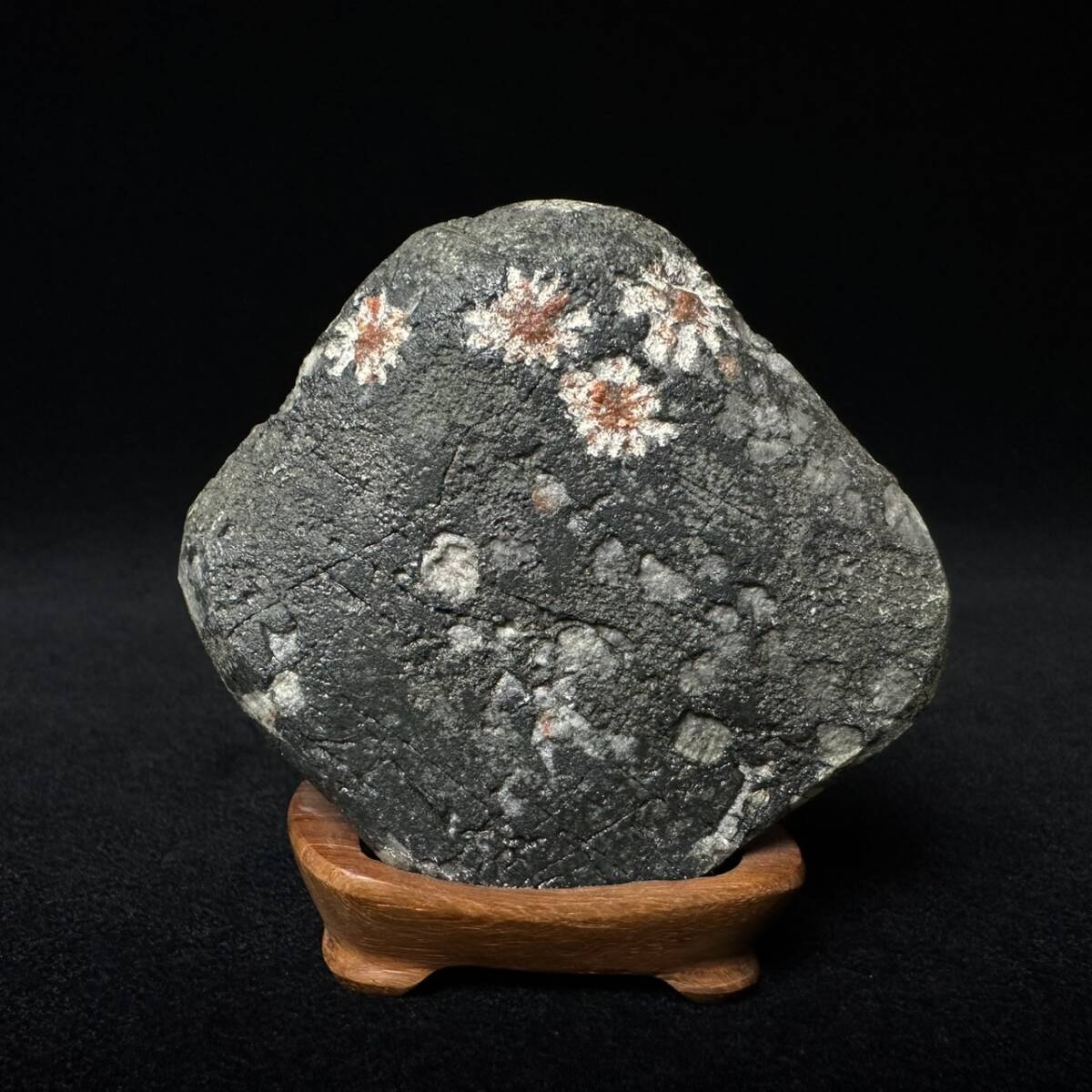 コレクター買取品 菊花石 水石 天然石 鑑賞石 唐木台座付 飾物 コレクター買取品 菊花石 水石 天然石 鑑賞石 唐木台座付 飾物