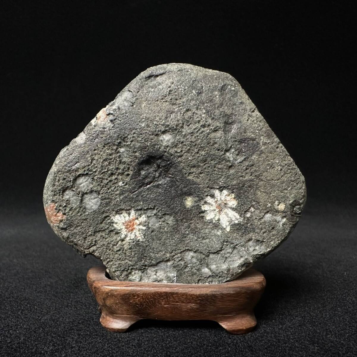 コレクター買取品 菊花石 水石 天然石 鑑賞石 唐木台座付 飾物 コレクター買取品 菊花石 水石 天然石 鑑賞石 唐木台座付 飾物