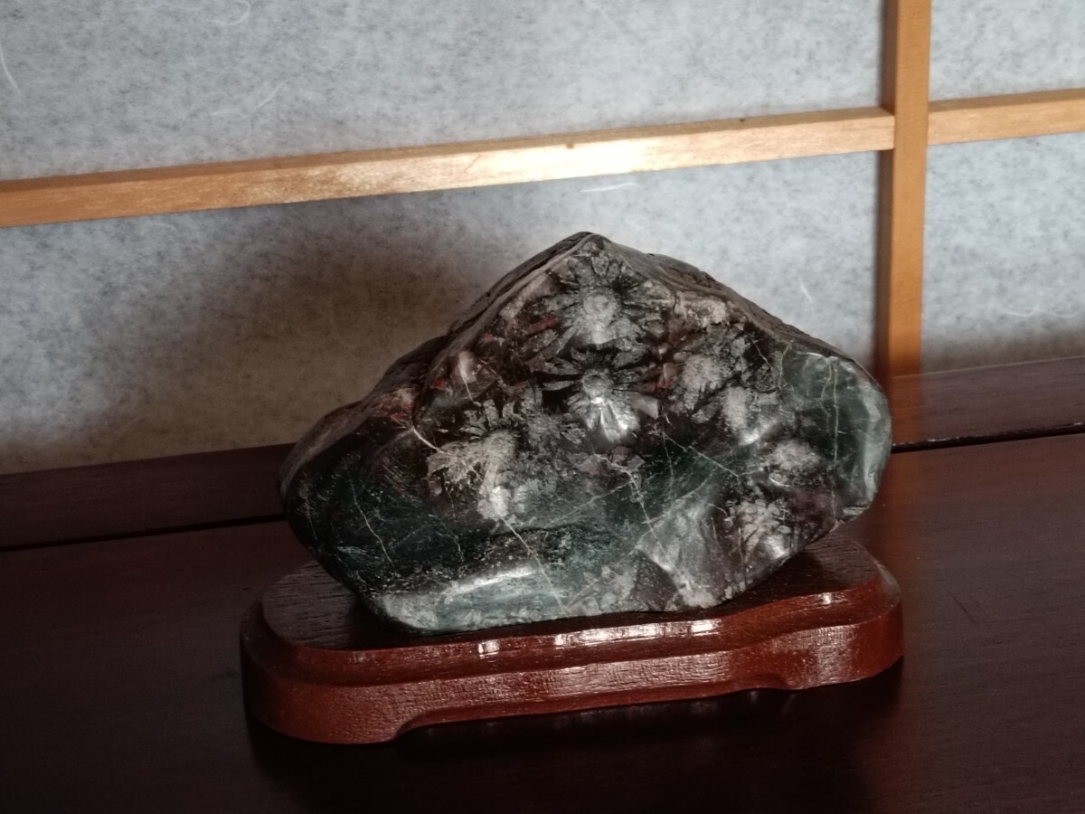 銘【幽菊嶺】〜菊花石☆根尾谷☆朱花☆青梨地母岩☆〜鑑賞石 銘【幽菊嶺】〜菊花石☆根尾谷☆朱花☆青梨地母岩☆〜鑑賞石