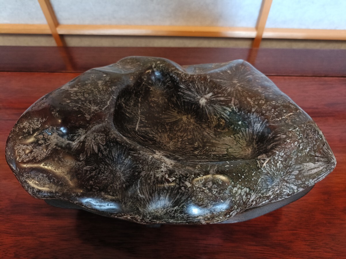 銘【瑞花】〜根尾谷菊花石☆溜まり☆赤母岩☆カラフル花☆芯有 銘【瑞花】〜根尾谷菊花石☆溜まり☆赤母岩☆カラフル花☆芯有